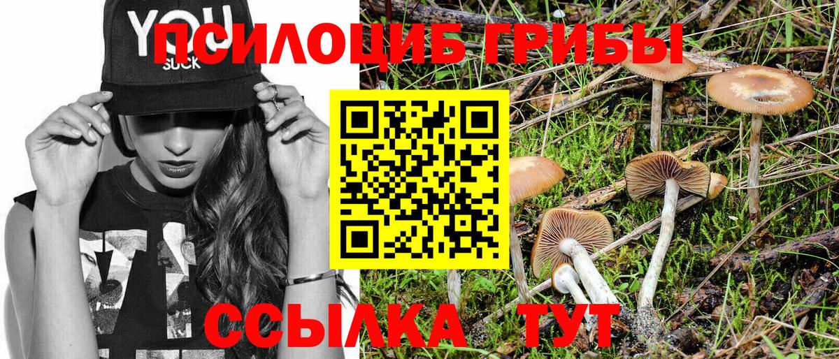 Псилоцибиновые грибы Psilocybe  Вход с VPN  Отрадное  Галлюциногенные грибы Magic Shrooms 